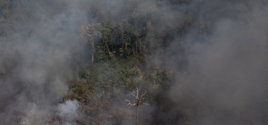 Novo Relat Rio Indica Que Brasil Teve Grande Aumento Das Emiss Es De