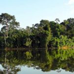 WhatsApp Image 2019-10-22 at 10.43.15(2)