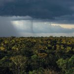 Nuvem de chuva sobre trecho de floresta no estado do Amazonas Rogerio Assis