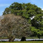 Foto de Mário Oliveira