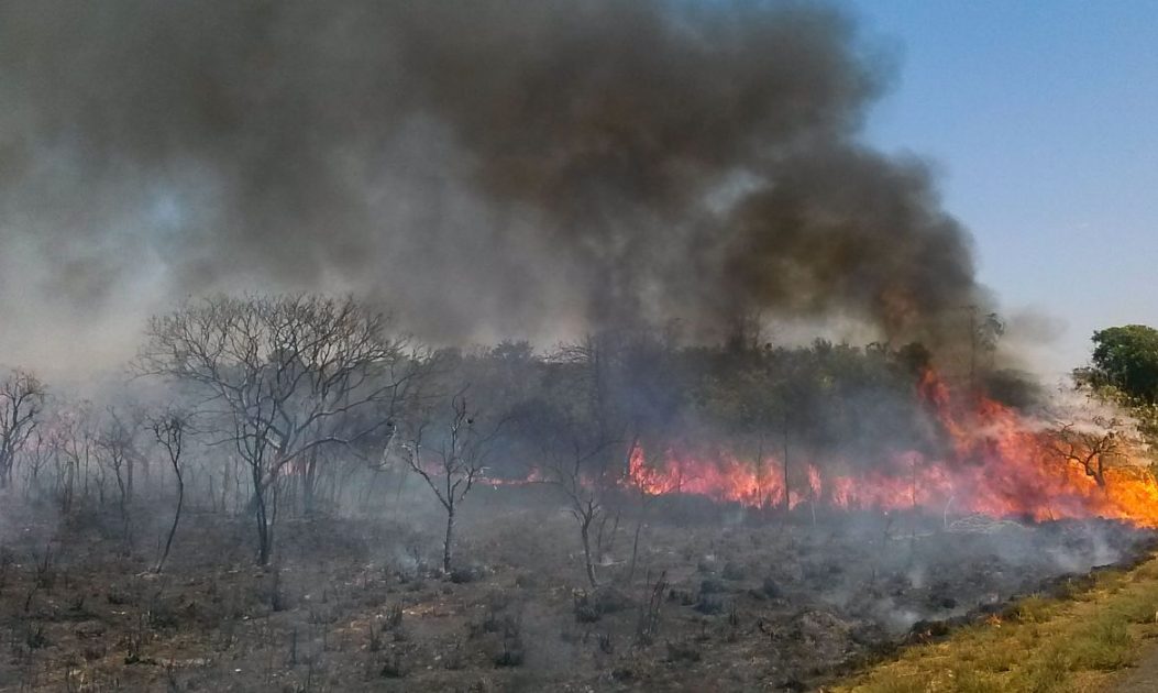 No MT, uso do fogo está proibido na Amazônia e no Cerrado até o fim do período de seca.