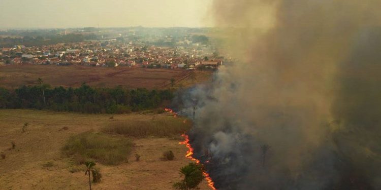 Mato Gosso MT 13 09 2020-Incêndio no Pantanal A Delegacia de Meio Ambiente (Dema) apura quem são os possíveis responsáveis pelos focos de incêndio, que deram início a grandes queimadas no Pantanal. As cinco perícias realizadas pelo Centro Integrado Multiagências de Coordenação Operacional (Ciman-MT) apontaram ação humana como causa da origem das queimadas na região foto Mayke Toscano/Secom-MT