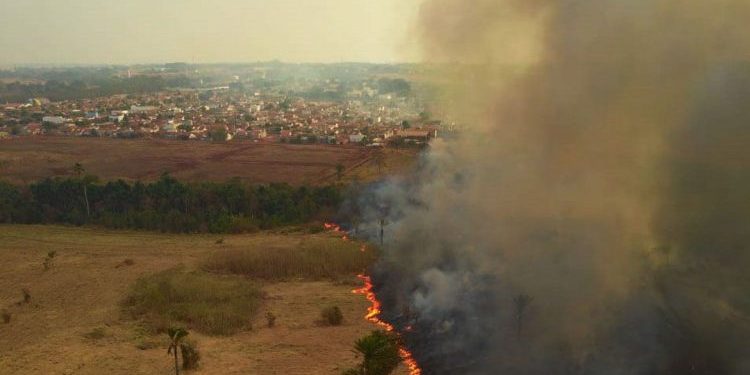 Mato Gosso MT 13 09 2020-Incêndio no Pantanal A Delegacia de Meio Ambiente (Dema) apura quem são os possíveis responsáveis pelos focos de incêndio, que deram início a grandes queimadas no Pantanal. As cinco perícias realizadas pelo Centro Integrado Multiagências de Coordenação Operacional (Ciman-MT) apontaram ação humana como causa da origem das queimadas na região foto Mayke Toscano/Secom-MT