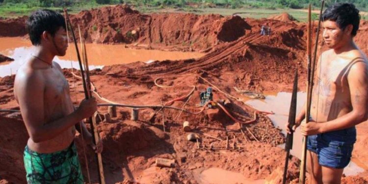 A garimpagem degrada o solo e destrói fauna e flora com mercúrio e cianeto | Foto: Reprodução