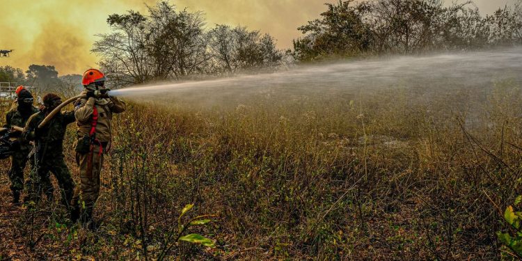 Operação Pantanal 2, combate ao incêndio na região
foto: Mayke Toscano