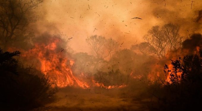 O Pantanal já perdeu cerca de 15% do seu território total  (Gustavo Basso/NurPhoto/Getty Images)