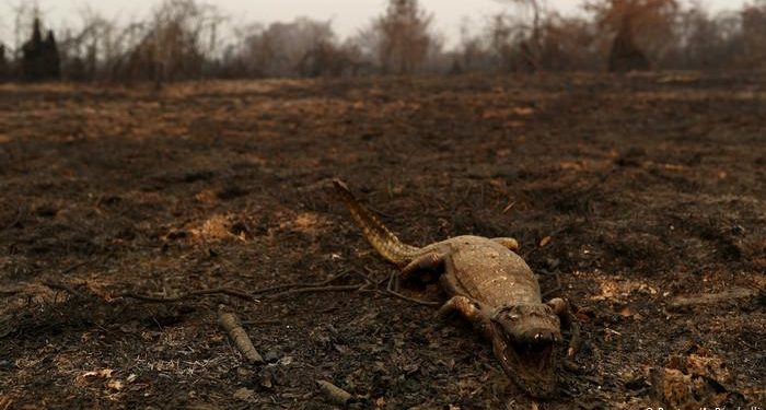 foto: A.Perobelli/Reuters