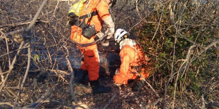 Bombeiros atuam em quatro regiões atingidas por incêndios florestais

foto: Divulgação CBMBA