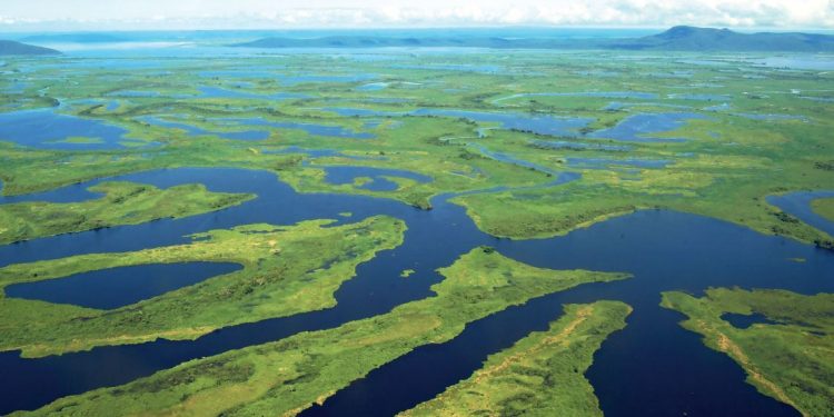 Mosaico de lagoas e rios sinuosos em Mato Grosso
Carl de Souza / AFP