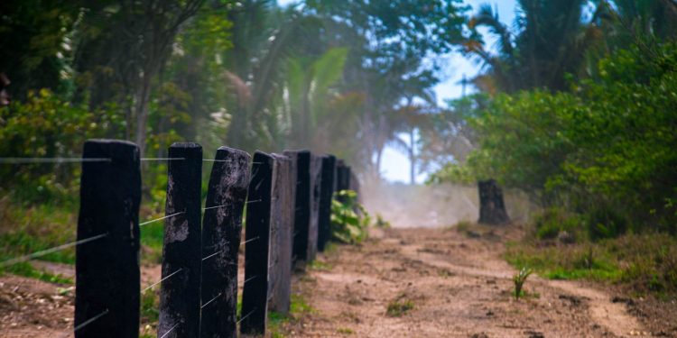 Projeto aprovado por deputados reduz em 89% a Resex Jaci-Paraná e recompensa presença de invasores que expulsaram comunidades tradicionais. Foto: Marcio Isensee e Sá