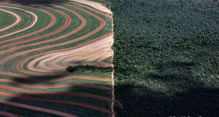 Avanço do agronegócio na região da MATOPIBA, entre Maranhão, Tocantis, Piauí e Bahia