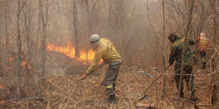 Novos incêndios foram registrados em alguns pontos do Pantanal nos últimos dias, após fogo diminuir no bioma
foto: Silvio de Andrade