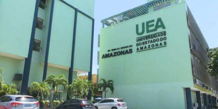 A coordenação do projeto destaca que a Rainforest Social Business School busca oportunidades concretas de implementação de negócios sustentáveis | Foto: Divulgação