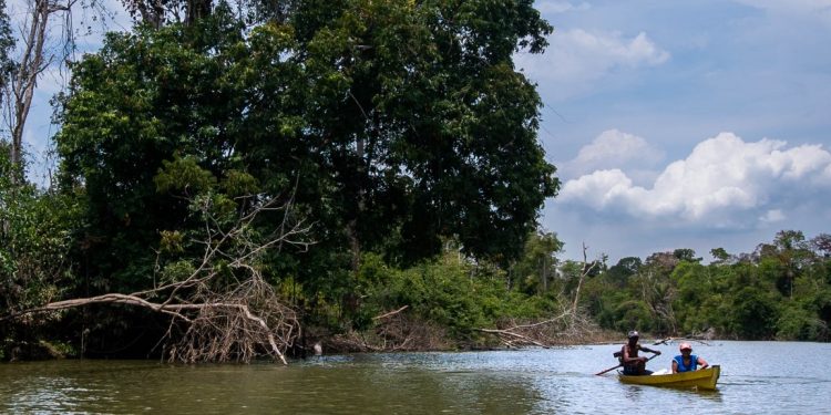 Extrativistas na Reserva Extrativista (Resex) estadual Jaci-Paraná, no noroeste de Rondônia. Governo quer desafetar 77% da reserva. Foto: Marcio Isensee e Sá.