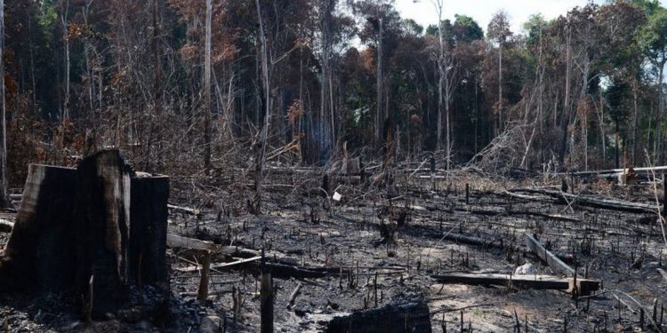 Foto: Agência Brasil