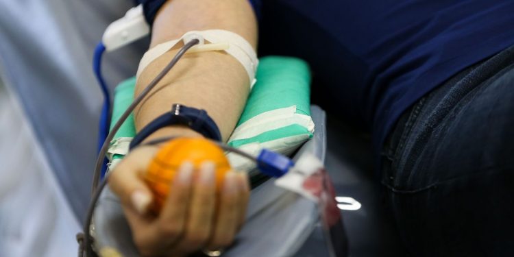 Para marcar o Dia Mundial do Doador de Sangue, Ministério da Saúde lança campanha de doação de sangue, no Hemocentro de Brasília - foto: Marcelo Camelo