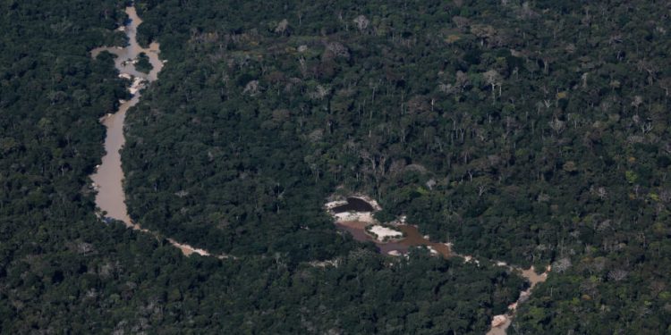 A maioria dos brasileiros acha a preservação da Amazônia "muito importante" - Sérgio Lima /Poder360 - 5.ago.2020