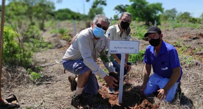 Familiares participam do plantio de um jequitibá em homenagem à uma das mais de 200 mil vítimas da COVID-19. Foto: Divulgação | Bosques da Memória