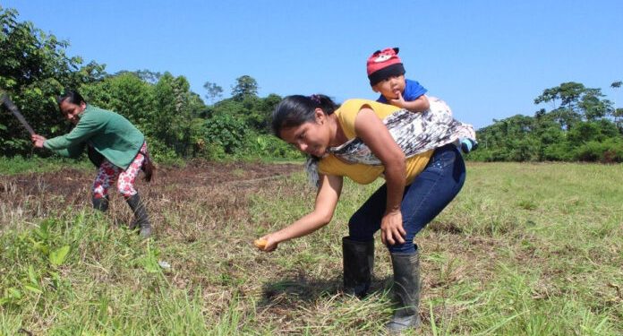 Mulheres Spara são líderes comunitárias e participam ativamente do plantio de árvores na floresta. Foto: One Tree Planted