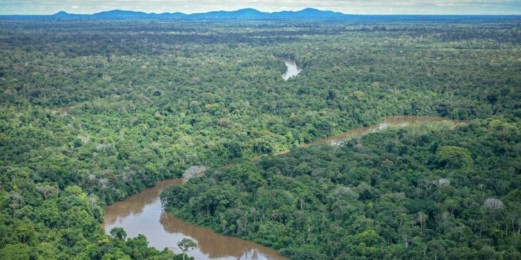 Terra Indígena Pirititi, Roraima. Foto: Felipe Werneck/Ibama.