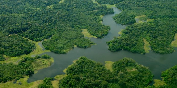 Amazônia integra nove estados do Brasil e o Amazonas é um único estado (Foto: Divulgação)