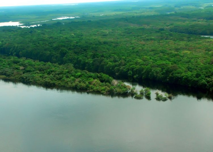 Brasil Amazônia Agora - Unidades de preservação. Leia aqui