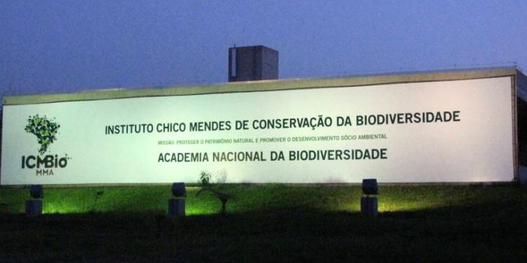 ICMBio promove mudanças nos PANs para conservação de espécies ameaçadas. Crédito: ICMBio