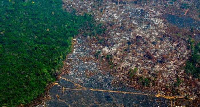 Vista aérea de desmatamento na Reserva Biológica Nascentes da Serra do Cachimbo, em Altamira, Pará