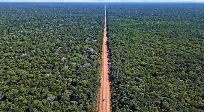 BR-319 no Sul do Amazonas. Foto: DNIT