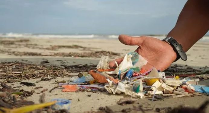 Ações de limpeza de praia acontecem ao longo de 2021. Foto: Cleiton | Giro Urbano