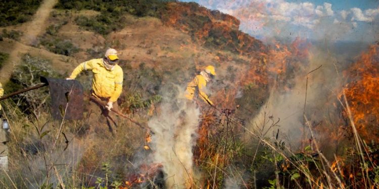 ICMBio ameaça fechar brigadas de incêndio diante do orçamento previsto para 2021. Foto: Duda Menegassi