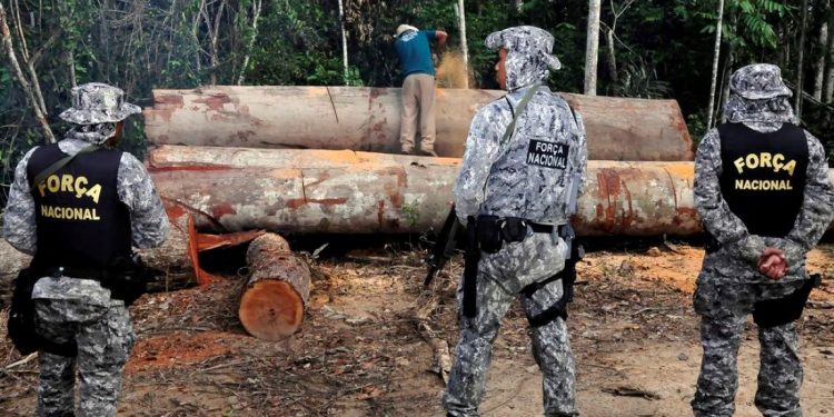 Operação da Força Nacional na Amazônia. Foto: Mário Vilela/Funai