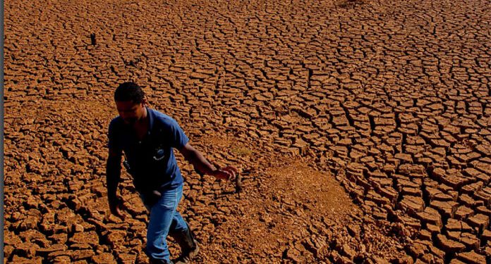 Flagrante de seca no Brasil, em 2015, em publicação da FAO. Foto: Gabriel Lindoso | Greenpeace