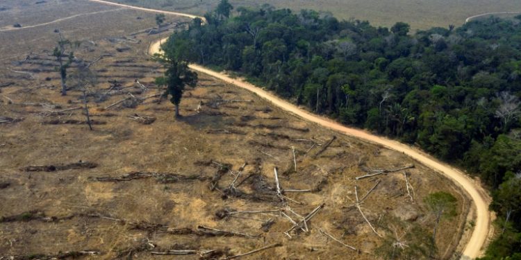 (2019) Área desmatada da Floresta Amazônica em Rondônia - AFP/Arquivos