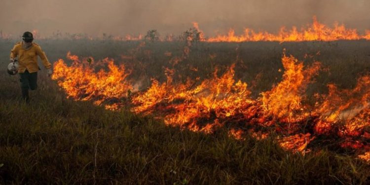 Foto: Vinícius Mendonça/Ibama - 29.ago.2019