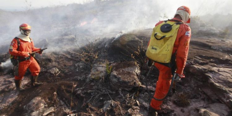 Brigadistas combatem o incêndio na Chapada Diamantina  (Mateus Pereira/GOVBA)