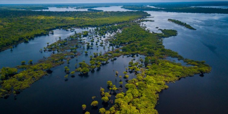 Projeto redelimita unidades de conservação no Baixo Rio Negro e cria Reserva de Desenvolvimento Sustentável. Foto: Marcio Isensee