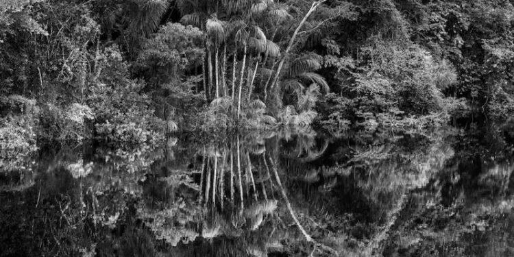 foto: Sebastião Salgado