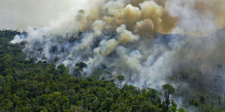 Vista aérea de queimadas na Amazônia, ao sul de Novo Progresso, no estado do ParáCredit...AFP 2021 / Carl de Souza