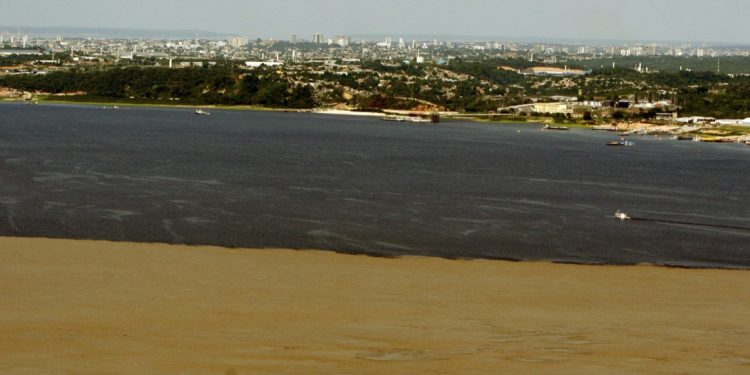 Foto: Alberto César de Araújo/Amazônia Real