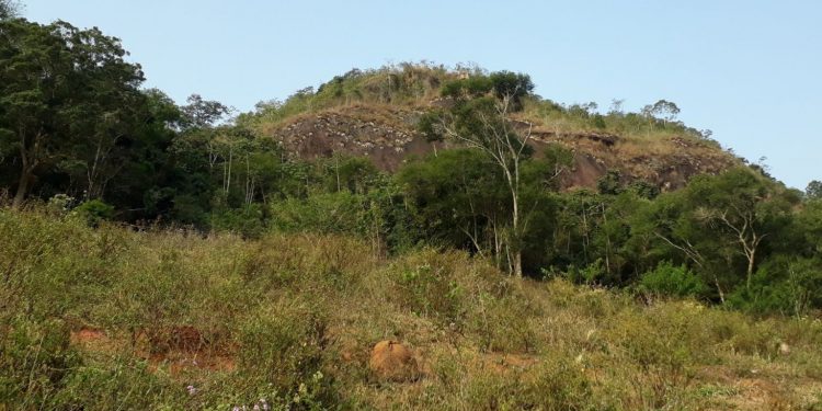 A RPPN Velho Moinho, a 100ª reconhecida pelo Inea no estado, localizada no município de Varre-Sai. Foto: Henrique Seixas