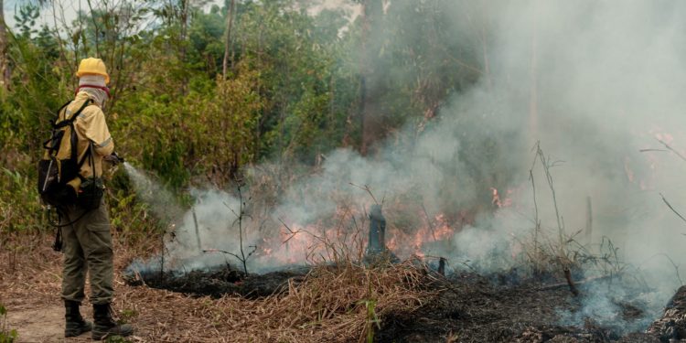 Governo abriu licitação para a compra de 10 mil retardantes. Acima, brigadista do prevfogo apaga incêndio com água. Foto: Vinícius Mendonça/Ibama