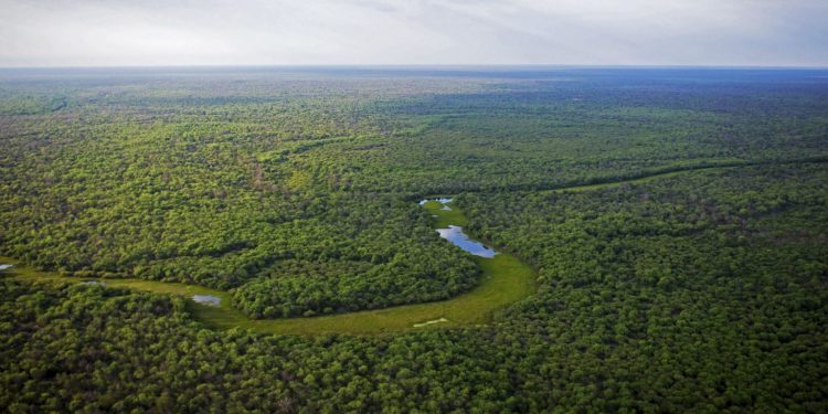 Lá Fidelidad. Crédito: Rewilding Argentina