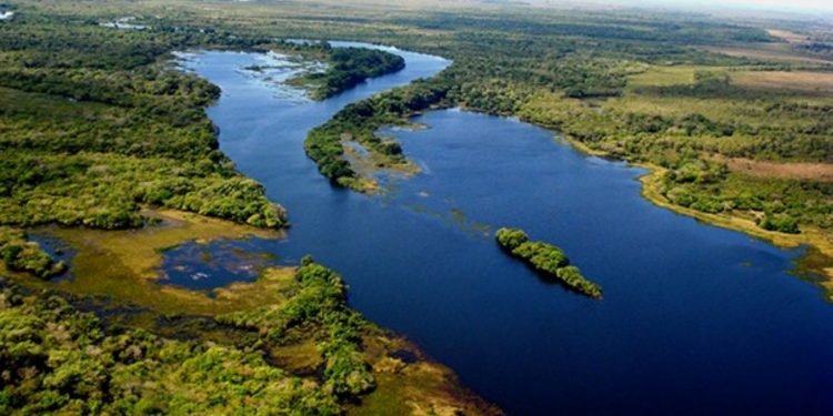 O Parque Estadual de Corumbiara, vizinho ao Parque Estadual da Ilha das Flores, uma das 11 UCs em xeque. Foto: Rosinaldo Machado/Governo de Rondônia