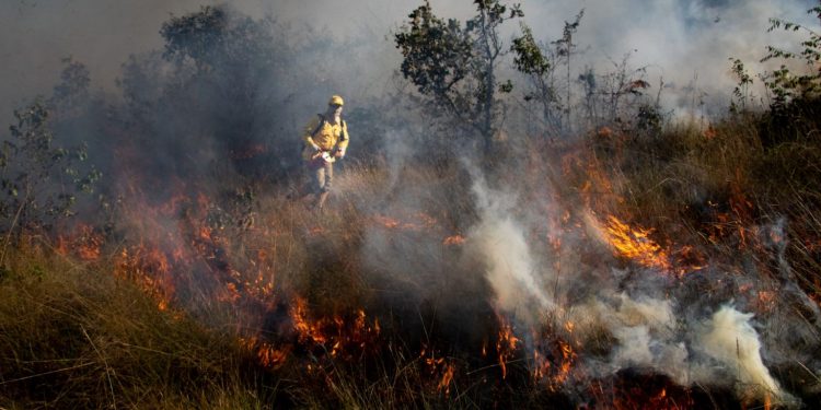 Ação de queima prescrita no Parque Nacional da Chapada dos Guimarães, no Mato Grosso. Foto: Duda Menegassi