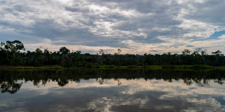 Com a lei, a Resex Jaci-Paraná perdeu 169 mil hectares do seu território. Foto: Marcio Isensee e Sá