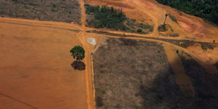 Desmatamento cresce 17% e ameaça a Amazônia - Foto : Araquém Alcântara