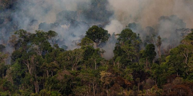 © Araquém Alcântara/WWF-Brasil