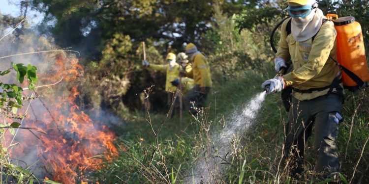 Edital revogado previa a compra de 10 mil litros de retardantes para combate de incêndios. Foto: Duda Menegassi