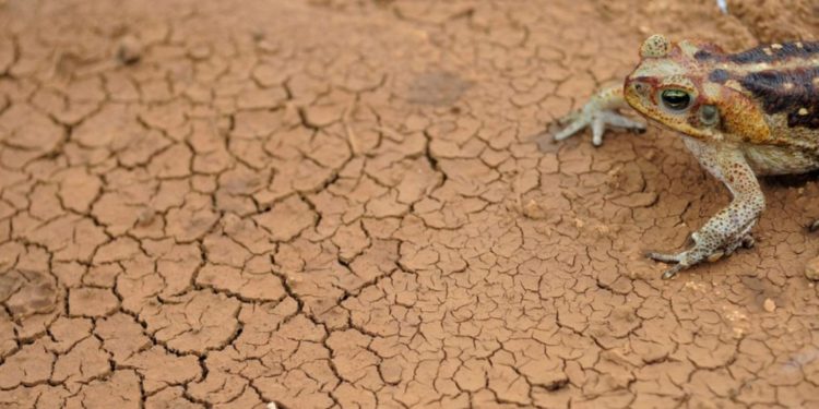 Foto: Fernando Frazão/Agência Brasil.